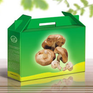 營養保健箱（精品混裝）